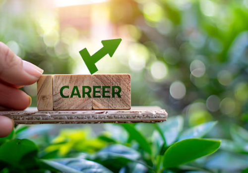 About Career Guidance Programs